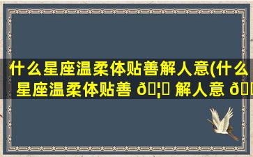 什么星座温柔体贴善解人意(什么星座温柔体贴善 🦆 解人意 🕷 的人)